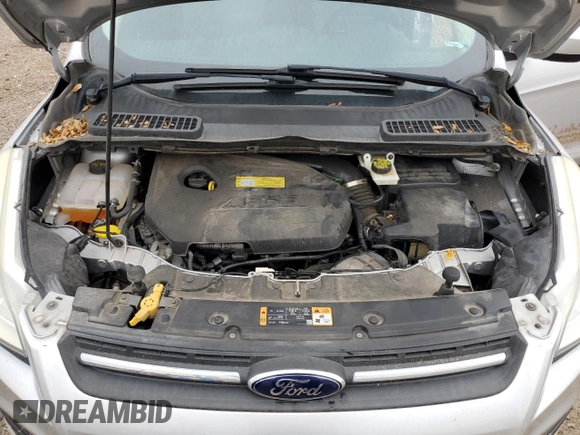 2014 Ford Escape SE with VIN 1FMCU0GX5EUB71665, listed as a Copart auction lot 51385495 with 113,225 mi miles and Salvage Title. Bid and sale history available at carsss.com. Image 12.
