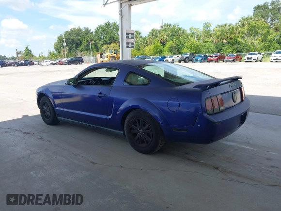 2005 Ford Mustang Deluxe with VIN 1ZVFT80N655176666, listed as a IAAI auction lot 42686893 with 218,881 mi miles and . Bid and sale history available at DreamBid. Image 3.