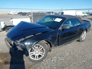 2010 Ford Mustang V6 with VIN 1ZVBP8ENXA5179074, listed as a IAAI auction lot 41826328 with 176,498 mi miles and . Bid and sale history available at carsss.com. Image 19.