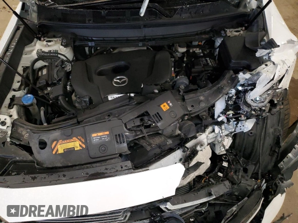 2020 Mazda CX-9 Signature with VIN JM3TCBEY1L0411773, listed as a Copart auction lot 52583935 with 53,236 mi miles and Non repairable. Bid and sale history available at DreamBid. Image 14.
