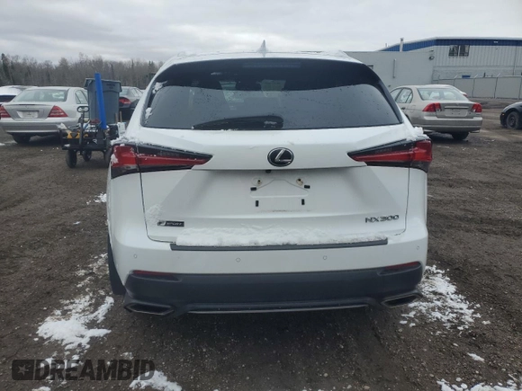 2019 Lexus NX with VIN JTJBARBZ5K2208451, listed as a Copart auction lot 51766015 with 79,805 mi miles and Clean Title. Bid and sale history available at carsss.com. Image 6.