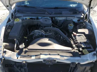 1999 Dodge Dakota SLT z VIN 1B7GL22X9XS188317, wystawiony jako Copart lot #47997795 z przebiegiem 125 090 mil mil oraz Szkoda całkowita • Salvage title. Historia ofert i sprzedaży dostępna na DreamBid. Obrazek 11.