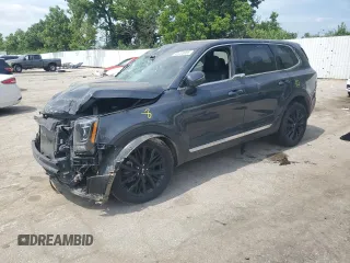 2020 Kia Telluride LX with VIN 5XYP2DHC4LG077547, listed as a Copart auction lot 61223965 with Not provided miles and Salvage title. Bid and sale history available at DreamBid. Image 1.