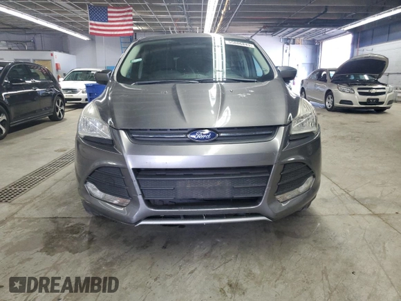 2014 Ford Escape SE with VIN 1FMCU0GX1EUB56869, listed as a Copart auction lot 55886845 with 175,575 mi miles and Clean Title. Bid and sale history available at DreamBid. Image 5.