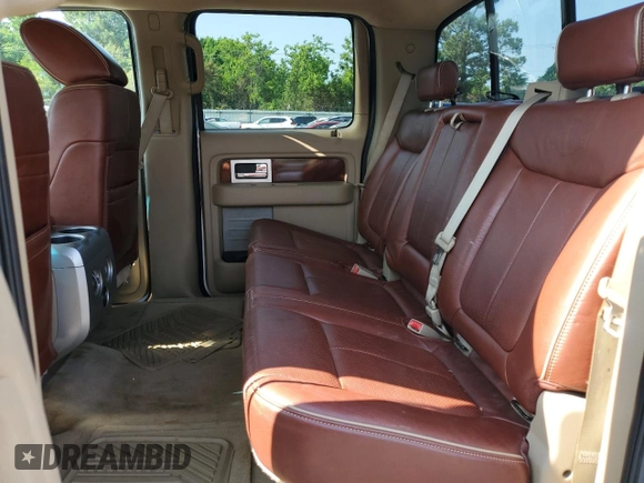 2009 Ford F-150 XL with VIN 1FTPW14V99KB33415, listed as a Copart auction lot 60546565 with 96,602 mi miles and Salvage title. Bid and sale history available at DreamBid. Image 10.