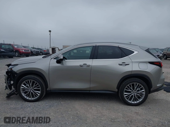 2025 Lexus NX 350 Luxury with VIN 2T2HGCEZ0SC062106, listed as a IAAI auction lot 42604940 with 3,775 mi miles and . Bid and sale history available at DreamBid. Image 14.