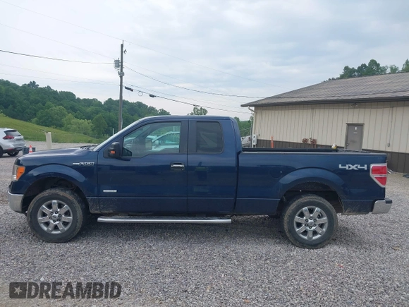 2013 Ford F-150 XL z VIN 1FTFX1ET7DFD32387, wystawiony jako IAAI lot #42275480 z przebiegiem 97 351 mil mil oraz . Historia ofert i sprzedaży dostępna na DreamBid. Obrazek 14.