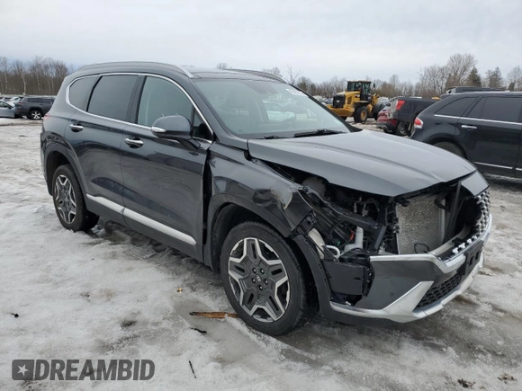 2022 Hyundai Santa Fe Limited with VIN 5NMS4DAL8NH456185, listed as a Copart auction lot 48406205 with 39,580 mi miles and Salvage Title. Bid and sale history available at carsss.com. Image 4.