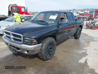 2004 Dodge Dakota SLT with VIN 1D7HL48N04S654059, listed as a IAAI auction lot 41811540 with 165,615 mi miles. Bid and sale history available at carsss.com. Image 2.
