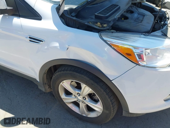2014 Ford Escape SE with VIN 1FMCU9G98EUA39702, listed as a IAAI auction lot 42683914 with 276,162 mi miles and . Bid and sale history available at DreamBid. Image 6.