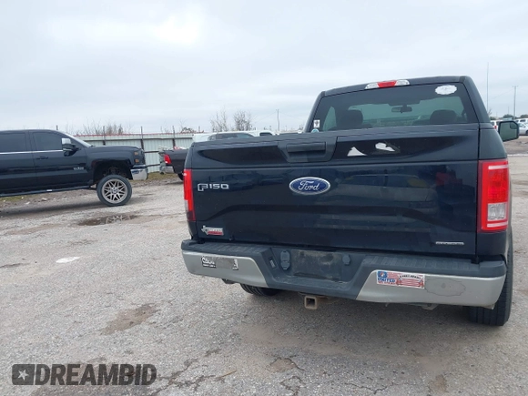 2016 Ford F-150 XL with VIN 1FTMF1C86GKG05579, listed as a IAAI auction lot 41604338 with 246,792 mi miles. Bid and sale history available at carsss.com. Image 16.