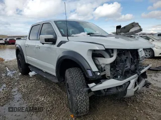 2024 Ford F-150 Raptor with VIN 1FTFW1RGXRFB06240, listed as a Copart auction lot 48020095 with Not Provided miles and Salvage Title. Bid and sale history available at DreamBid. Image 4.