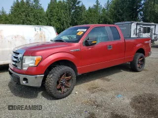 2010 Ford F-150 XL with VIN 1FTEX1E8XAFC24431, listed as a Copart auction lot 62084625 with 155,985 mi miles and Clean title. Bid and sale history available at DreamBid. Image 1.
