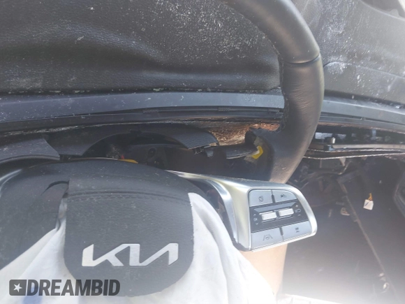 2024 Kia Telluride SX Prestige X-Pro with VIN 5XYP5DGC2RG418574, listed as a IAAI auction lot 39062660 with Not Provided miles and . Bid and sale history available at DreamBid. Image 7.