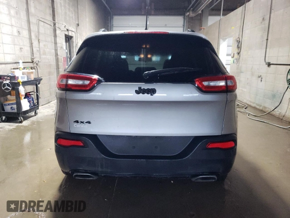 2017 Jeep Cherokee Altitude with VIN 1C4PJMAS1HW646417, listed as a Copart auction lot 60907915 with 124,357 mi miles and Clean title. Bid and sale history available at DreamBid. Image 6.