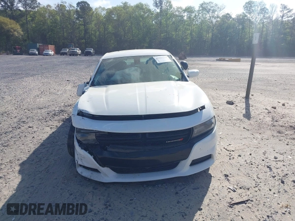 2019 Dodge Charger Police with VIN 2C3CDXAT3KH599711, listed as a IAAI auction lot 41906214 with 80,462 mi miles and . Bid and sale history available at DreamBid. Image 12.
