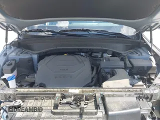 2024 Kia Telluride S z VIN 5XYP64GC4RG557618, wystawiony jako IAAI lot #42179390 z przebiegiem 11 347 mil mil oraz . Historia ofert i sprzedaży dostępna na DreamBid. Obrazek 10.