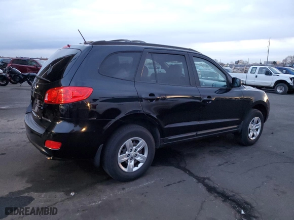 2009 Hyundai Santa Fe GLS with VIN 5NMSG13D29H275200, listed as a Copart auction lot 49262185 with 173,134 mi miles and Salvage Title. Bid and sale history available at carsss.com. Image 3.