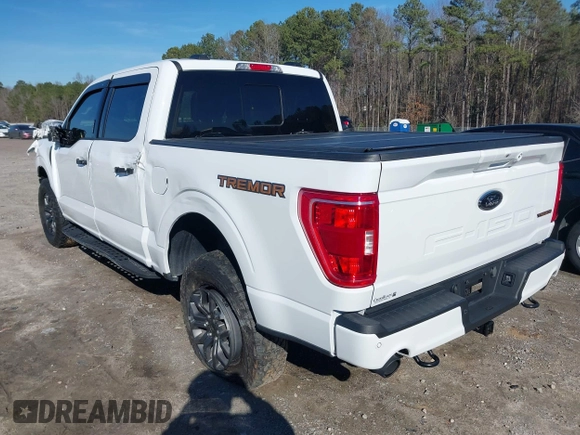 2023 Ford F-150 XL with VIN 1FTEW1E80PFB02768, listed as a IAAI auction lot 41556743 with 16,349 mi miles. Bid and sale history available at carsss.com. Image 3.