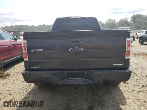 2013 Ford F-150 XL with VIN 1FTMF1EFXDFB80061, listed as a Copart auction lot 72508294 with 68,258 mi miles and Salvage Title. Bid and sale history available at DreamBid. Image 6.