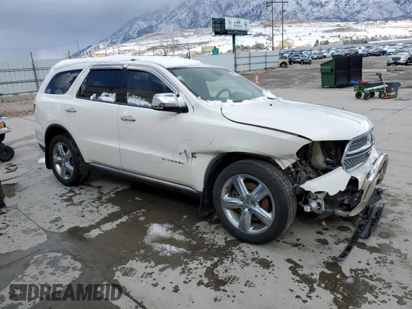 2012 Dodge Durango Citadel with VIN 1C4SDJET2CC192580, listed as a Copart auction lot 49098225 with 166,325 mi miles and Salvage Title. Bid and sale history available at DreamBid. Image 4.