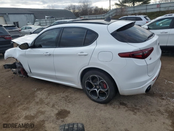 2021 Alfa Romeo Stelvio Ti with VIN ZASPAKBN6M7D01053, listed as a Copart auction lot 81766904 with 0 mi miles and Non Repairable. Bid and sale history available at carsss.com. Image 2.