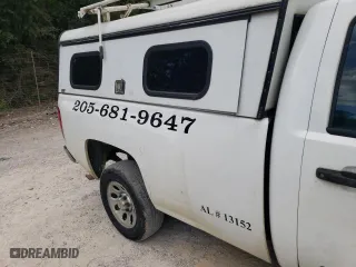 2011 Chevrolet Silverado 1500 Work Truck with VIN 1GCNCPEX1BZ466658, listed as a Copart auction lot 43174355 with 316,473 mi miles and Salvage Title. Bid and sale history available at carsss.com. Image 10.