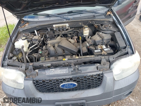 2006 Ford Escape XLT with VIN 1FMCU93106KA37648, listed as a IAAI auction lot 42719362 with 184,321 mi miles and . Bid and sale history available at DreamBid. Image 10.
