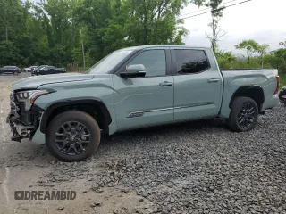 2025 Toyota Tundra Platinum with VIN 5TFNA5DB9SX250892, listed as a Copart auction lot 63266605 with 4,096 mi miles and Salvage title. Bid and sale history available at DreamBid. Image 1.