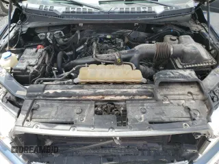 2019 Ford F-150 XL with VIN 1FTEX1EP1KKC63781, listed as a Copart auction lot 55036455 with 0 mi miles and Salvage Title. Bid and sale history available at carsss.com. Image 11.
