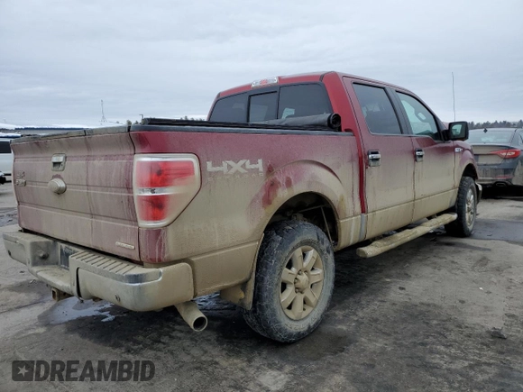2014 Ford F-150 XL with VIN 1FTFW1EF2EFB24075, listed as a Copart auction lot 47762105 with Not Provided miles and Salvage Title. Bid and sale history available at carsss.com. Image 3.
