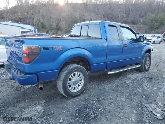 2010 Ford F-150 XL with VIN 1FTEX1EW1AFC83642, listed as a Copart auction lot 46632535 with 136,235 mi miles and Salvage Title. Bid and sale history available at carsss.com. Image 3.