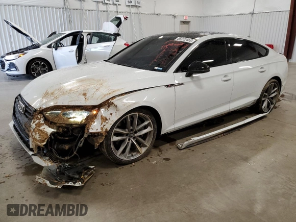 2019 Audi A5 Sportback Prestige with VIN WAUFNCF5XKA032125, listed as a Copart auction lot 55972453 with 55,163 mi miles. Bid and sale history available at carsss.com. Image 1.