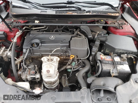 2017 Acura TLX with VIN 19UUB1F33HA009981, listed as a Copart auction lot 48927265 with 172,711 mi miles and Salvage Title. Bid and sale history available at carsss.com. Image 11.