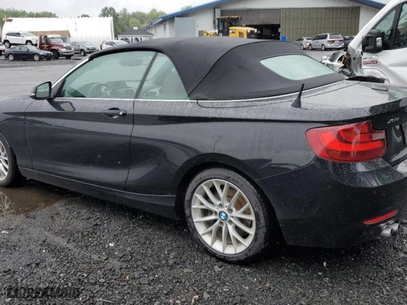 2015 BMW 2 Series 228i xDrive with VIN WBA1K7C53FV473009, listed as a Copart auction lot 65531723 with 113,031 mi miles. Bid and sale history available at carsss.com. Image 2.