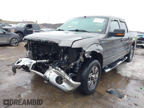 2009 Ford F-150 XL with VIN 1FTRW14849FA51992, listed as a IAAI auction lot 41444548 with 1 mi miles. Bid and sale history available at carsss.com. Image 22.
