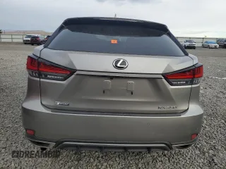 2020 Lexus RX with VIN 2T2YZMDA7LC252997, listed as a Copart auction lot 81167044 with 0 mi miles and Salvage Title. Bid and sale history available at carsss.com. Image 6.