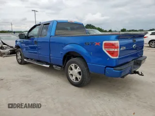 2010 Ford F-150 XL with VIN 1FTEX1CW4AFA85382, listed as a Copart auction lot 58778855 with 190,860 mi miles and Salvage title. Bid and sale history available at DreamBid. Image 2.