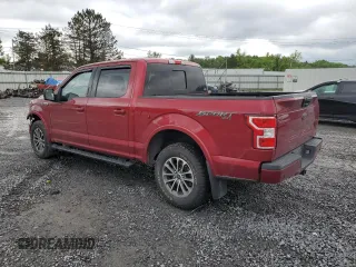 2019 Ford F-150 XL with VIN 1FTEW1E5XKFD24698, listed as a Copart auction lot 60204085 with 145,406 mi miles and Salvage title. Bid and sale history available at DreamBid. Image 2.