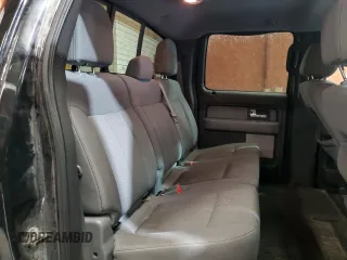 2013 Ford F-150 XL with VIN 1FTFW1EF1DFD11886, listed as a Copart auction lot 53393255 with 294,772 mi miles and Salvage Title. Bid and sale history available at carsss.com. Image 10.