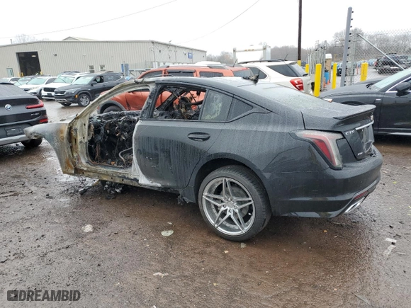 2024 Cadillac CT5 Sport with VIN 1G6DU5RK9R0123044, listed as a Copart auction lot 81665724 with 0 mi miles and Salvage Title. Bid and sale history available at carsss.com. Image 2.