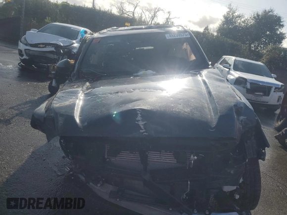 2025 Toyota Tacoma SR with VIN 3TMLB5JN1SM109033, listed as a Copart auction lot 49239575 with Not Provided miles and Salvage Title. Bid and sale history available at DreamBid. Image 5.