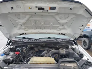 2020 Ford F-150 XL with VIN 1FTEX1C51LKD81364, listed as a IAAI auction lot 41730360 with 178,718 mi miles and . Bid and sale history available at DreamBid. Image 10.