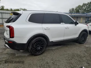 2020 Kia Telluride EX with VIN 5XYP3DHC2LG046777, listed as a Copart auction lot 57917025 with 66,494 mi miles and Salvage title. Bid and sale history available at DreamBid. Image 3.