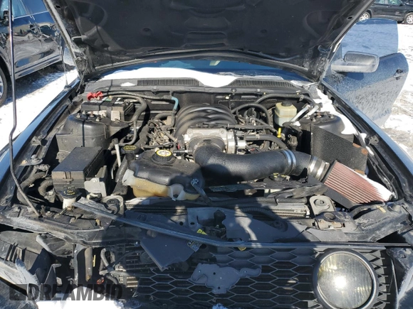 2005 Ford Mustang GT Deluxe with VIN 1ZVHT85H655199389, listed as a Copart auction lot 45215765 with 98,105 mi miles and Salvage Title. Bid and sale history available at DreamBid. Image 11.