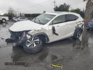 2019 Lexus NX 300h with VIN JTJBJRBZ8K2105718, listed as a Copart auction lot 49491555 with Not provided miles and Salvage title. Bid and sale history available at DreamBid. Image 1.