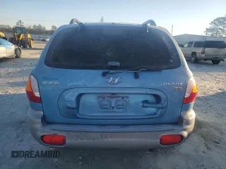 2003 Hyundai Santa Fe GLS with VIN KM8SC13E03U552538, listed as a Copart auction lot 88900865 with 250,847 mi miles and Salvage Title. Bid and sale history available at carsss.com. Image 6.