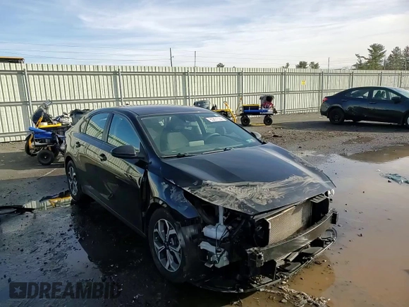 2020 Kia Forte LXS with VIN 3KPF24AD1LE222684, listed as a Copart auction lot 85291634 with 65,176 mi miles and Salvage Title. Bid and sale history available at carsss.com. Image 11.