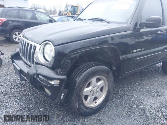 2002 Jeep Liberty Limited with VIN 1J8GL58KX2W198975, listed as a IAAI auction lot 41200746 with 220,079 mi miles and . Bid and sale history available at DreamBid. Image 6.