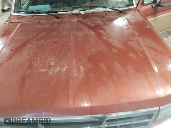 1994 Ford F-150 with VIN 1FTEF14N5RLB51038, listed as a Copart auction lot 41920565 with 0 mi miles and Clean Title. Bid and sale history available at carsss.com. Image 11.